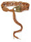 ILuvatar Damen Bohemian Style Rope Braid Taillengürtel U33, Braun-07, 135 cm