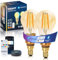 Aigostar Mesh - Alexa Smarte Glühbirne E14, Bluetooth Mesh G45, Alexa Lampe Vintage Edison LED 4.5W 470LM 2700K-6500K Dimmbar Glühbirne, Kompatibel mit Alexa/Google Home, 2 Stück(mit Fernbedienung)