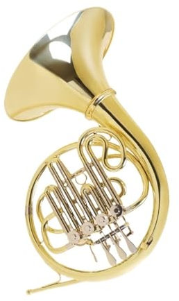 Anfänger Waldhorn B-Horn Für Einzelprüfungsband Spielt B-Einzelhorn