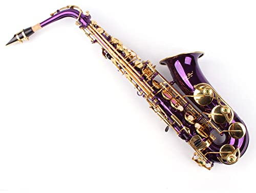 Karl Glaser Alt Saxophon, violett/gold, mit Koffer
