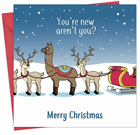 Twizler Frohe Weihnachtskarte mit Lama-Verwirrung - Lustige Weihnachtskarte - Weihnachtskarte - Happy Christmas Karte - Damen Weihnachtskarte - Herren Weihnachtskarte