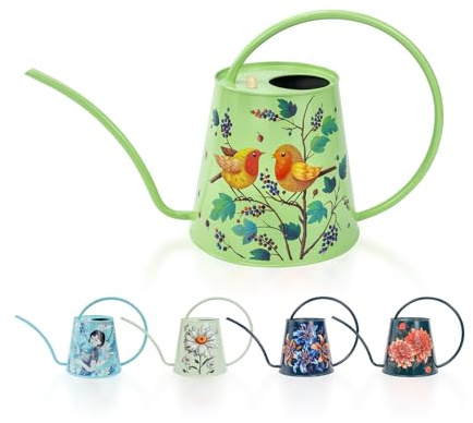 Berry&Bird Stainless Steel Watering Can - Indoor & Outdoor 1/2 Gallon Gardening Large Watering Bottle with Long Spout, No Drip Houseplant Watering Can for Flower Bonsai Succulent(2L/Robin)