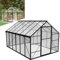 LZQ Serre de jardin en aluminium avec fondation, 380 x 250 x 205 cm, serre pour plantes, avec porte coulissante et fenêtre de toit, abri de jardin, résistant à l'hiver, pour élevage, serre à tomates