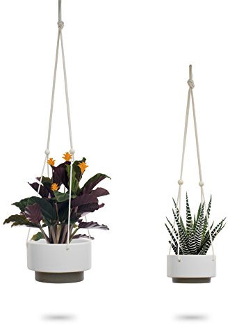 Ceramic Hanging Planter | White Gray Succulent Pots | Round Plant Holder Container | Cactus Pot with Cotton Rope Hanger | Indoor Outdoor Decor | 23 Bees (2 Pack)