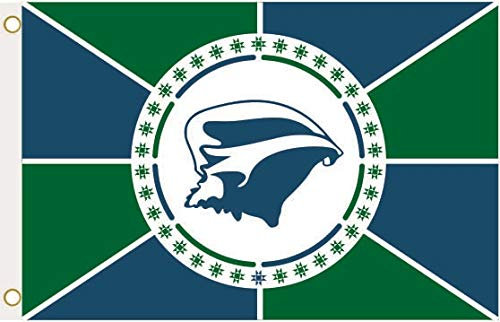 U24 Drapeau de la Martinique neuf 90 x 150 cm