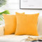 FDTERN 2er Set Gelb Kordsamt Kissenbezug 40x40CM Weich Moderne Dekorative Kissenbezüge Kissenhülle Dekokissenbezug Sofakissen Dekokissen Boho Herbst Deko für Sofa Schlafzimmer Wohnzimmer Balkon