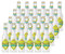Salitos Tequila, Pack de 24 Botellas de 33cl
