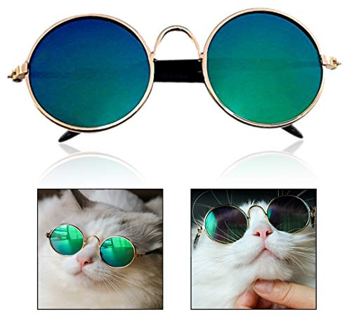Xrten Lunettes De Soleil pour Chiens, Lunettes de Protection UV Lunette de Soleil pour Chiens De Chat