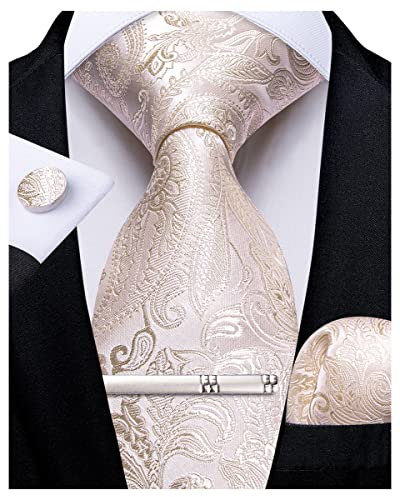 DiBanGu Blush Pink Tie Set for Men Paisley Silk Necktie and Handkerchief Cufflinks Tie Clips Wedding Party