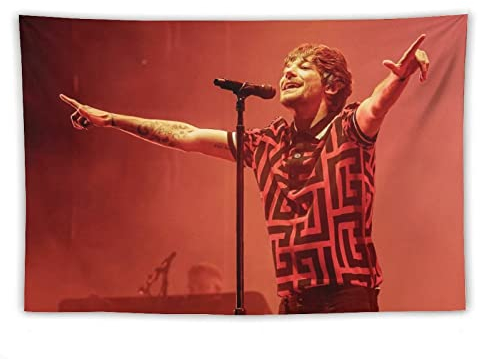 QINGRONG Louis Tomlinson Schauspieler-Poster England Wandteppich Schriftrolle Polyester Wandteppiche Kunst Malerei Bild Schlafzimmer Dekor Zuhause 101,6 x 152,4 cm