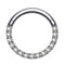 OUFER Septum Piercing G23 Massives Titan Daith Ohrring Hoop Tragus Helix Ringe 16G Scharnier Segment Hoop Klar CZ Paved Knorpel Ohrring, 6 mm, Titan