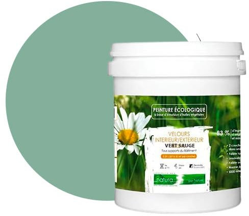 BOX DECO COULEURS Peinture naturelle écologique intérieur extérieur aspect velours Natura - 1L, Vert Sauge