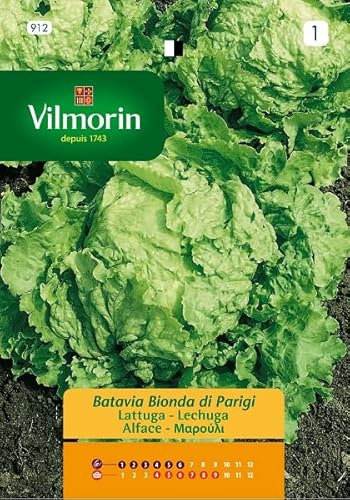 Semillas de LECHUGA BATAVIA PARIS S-1912, 7 g