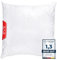 EVE Textile® Kopfkissen 80x80 cm; Bis 60° Waschbar; Steppkissen, Schlaf-Kissen mit abnehmbarem Bezug & hochwertiger Kissenfüllung; Bett oder Deko mit Reißverschluss Allergikerfreundlich