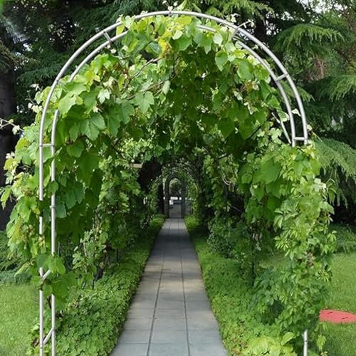 SOFPGKMFVN Pergola ad Arco da Giardino in Metallo, Decorazione per Arco per Matrimoni Bianchi, pergolati Resistenti, Traliccio per Piante rampicanti, Fiori, Viti, pergolato per Esterni, pergo