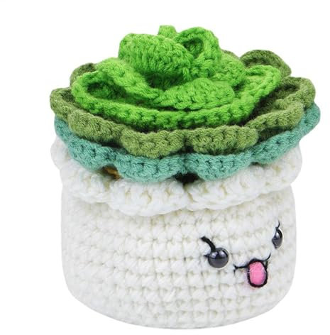 Byeaon Häkeluntersetzer-Set, Pflanzen-Häkelset, Anfänger-Untersetzer-Zubehör, einfache Häkelanleitungen, Häkelset für Kinder, Häkelset für Erwachsene, Untersetzer, Starter-Set, Schritt für Schritt für