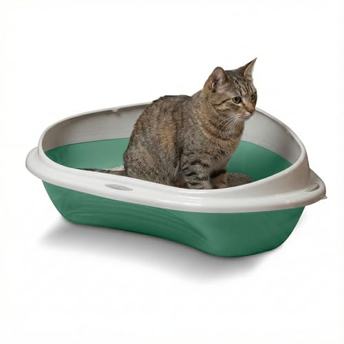Snugsy Katzenklo - Offene Katzentoilette - Abnehmbarer Rand - Ecktoilette - Grün 58 x 48 x 20,5 cm