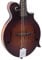 Die Loar lm-310 F-brb Honig Creek F-Style Mandoline