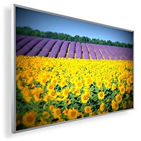 Könighaus 300W Infrarotheizung mit Bild in HD Qualität ✓ inkl. Thermostat ✓ 5 Jahre Garantie ✓ Doppelter überhitzungsschutz ✓ Infrarot Wandheizung ✓ Motiv: 56. Blumenfeld