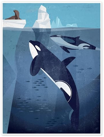 Orca Poster von Dieter Braun 50 x 70 cm Blau Wandbilder Wanddeko