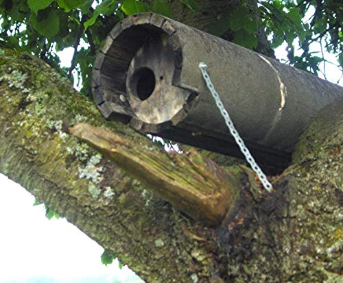 Naturschutzprodukt Steinkauz Nistkasten Nisthöhle Steinkauzröhre Typ 20A Flugloch Durchmesser 65 mm mit Marderschutz aus Holzbeton Länge 83 cm
