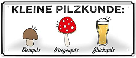 Kleine Pilskunde - Bier Retro Deko Blechschild - Metallschild Biertrinker Bierliebhaber - Dekoration Biergarten Partyraum Wohnung Man Cave Kneipe Bar - Geschenk Männer Geburtstag - 28x12cm