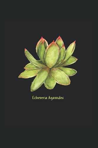 Echeveria agavoides Sukkulenten: DIN A5 Kariert 120 Seiten / 60 Blätter Notizbuch Notizheft Notiz-Block Sukkulenten Spruch für Botaniker Pflanzenliebhaber
