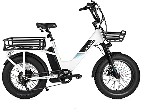 HILAND 20 Zoll 4.0 Fat Tire E Bike Cargo für Erwachsene, Aluminium Alloy Frame Fat Tire Elektrofahrrad, Suspension Fork Elektrofahrrad mit Gepäckträger für Damen und Herren Silber