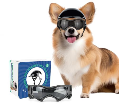 PETLESO Hundebrille mit Helm, Hundehelm und -Brille 2 Stück Set für kleine und mittlere Hunde - Schwarz