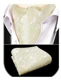 HISDERN Krawattenschal Beige Herren Paisley Hochzeit Ascot Krawatte Taschentuch Business Blumen Halstuch und Einstecktuch Set