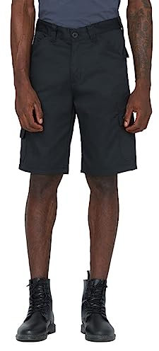 Dickies Unisex-Shorts für jeden Tag, DK0A4XSG, Schwarz, 36