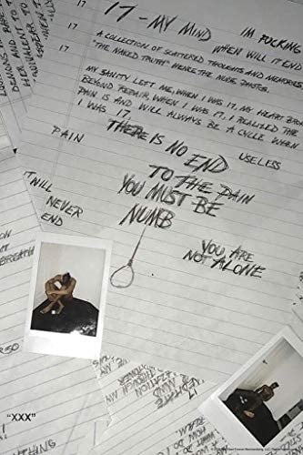XXXtentacion 17 Albumcover Art Merch XXX Bad Vibes Forever Skins Trap Musik Ästhetisch Cool Wandkunst Druck Poster 30,5 x 45,7 cm