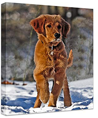 Anjiefo Canvas Drucke mit Ihren Fotos auf der Leinwand Individuelle für Familien Leinwandbilder als Geschenk personalisierte Kunstdruck zu drucke (40cm x 50cm)