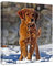 Anjiefo Canvas Drucke mit Ihren Fotos auf der Leinwand Individuelle für Familien Leinwandbilder als Geschenk personalisierte Kunstdruck zu drucke (40cm x 50cm)