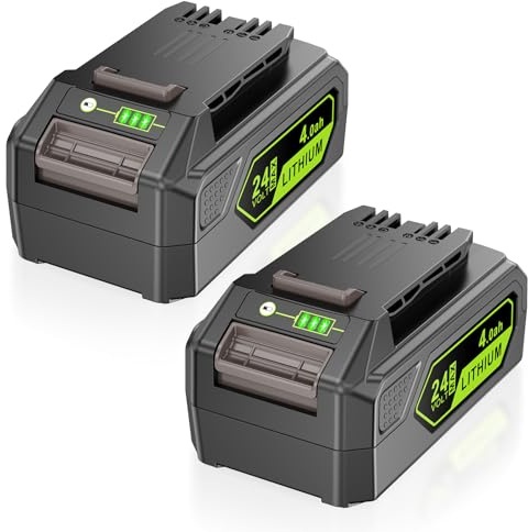 LabTEC 2 Packs Batterie GW2430 pour Greenworks, Batterie Li-ION 24V 4,0 Ah de Remplacement pour Outils Greenworks 24 V 29862 2938202 26111700 Chargeur Tondeuse à Gazon Souffleur de Feuilles Batterie