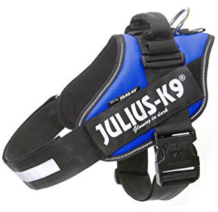 Julius K9 Hundegeschirr, Brustgeschirr reflektierend Hunde Geschirr mit personalisiertes Geschenk, benutzerdefinierter Klettsticker (L/1, Blau)