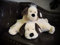 MEIWITT 2in1 Kuschelkissen und Kuscheltier Schaf, Schäfchen, Schafkissen, Kuschelschaf, Hund, Hündchen mit Klettverschluss, Kuschelrolle (Kuschelhund, 46cm)