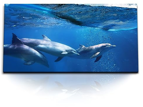 Paul Sinus Kunstdruck Bilder 120x60cm Delphine Meer Ozean Blau Wellen unter Wasser