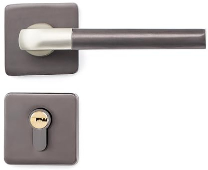 WBBAYDRFR Serratura for Porta Interna Camera da Letto Stanza Magnetica aspirazione Serratura silenziosa Porta(Gris)