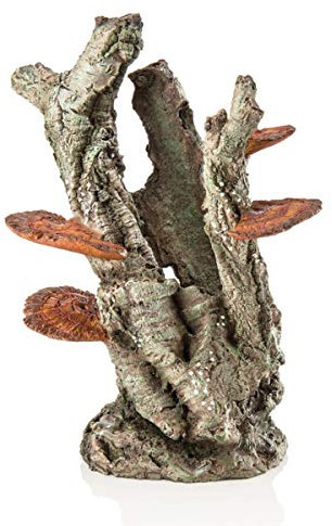 biOrb 48363 Pilzborke Ornament