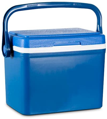 TIENDA EURASIA® Nevera Portátil con Asa - Material Super Resistente y de Gran Durabilidad - Disponible en Varios Tamaños - Ideal para Jardín, Campo, Playa (7 L - 19 x 28 x 24 cm)