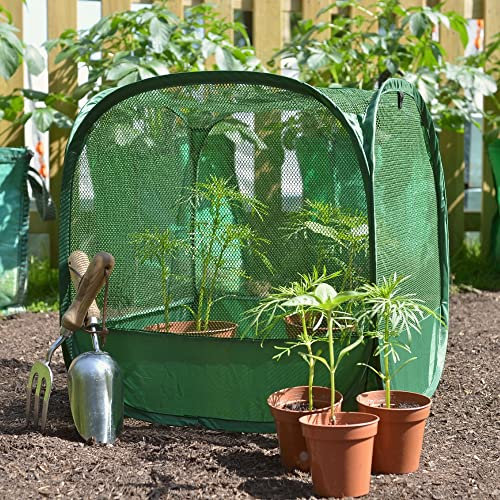 Mini Serre pour Tomates Fraises Semis avec Filet Anti-Oiseaux 50x50cm | Tunnel de Forçage Cloche Housse de Protection pour Plantes pour Potager Jardiniere Lit de Jardin Surélevé (3)