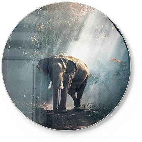 DEQORI Tabla de cortar de cristal, redonda, diámetro de 30 cm, diseño de elefante en el bosque, placa de corte para cocina, antibacteriana y antideslizante, placa de cristal y bandeja para servir