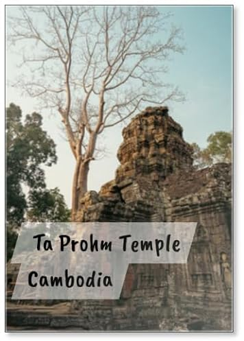 Ta Prohm Tomb Raider Temple in Angkor Complex Cambodia, Design 4, Fridge Magnet