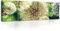 ForWall Bilder Canvas Pusteblumen mit Grünen Hintergrund O3 (45cm. x 145cm.) Leinwandbilder Wandbild AMFPP10221O3