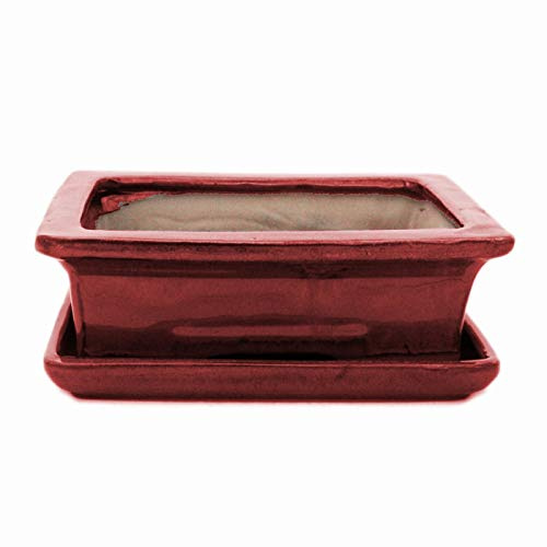 exotenherz Bonsai-Schale mit Unterteller Gr. 3 - Rot - eckig - Modell G29 - L 18cm - B 13cm - H 6cm