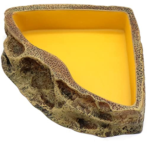 Reptile Feeder Resin Bowl Amphibian Reptile Bowl for Lizard Gecko Bearded Dragon Turtle