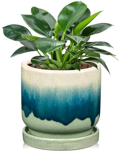 Oairse Pot de fleurs en céramique avec trous de drainage et soucoupes, diamètre : 13 cm, pour l'intérieur, les plantes d'intérieur, le jardin extérieur, vert