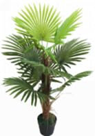 Lacers SMARAGDLINE künstliche Hanfpalme im Topf 90cm, realistische Optik, Dekoration für Wohnzimmer, Balkon und Büroräume - pflegeleicht, langanhaltend ohne spezielle Pflege