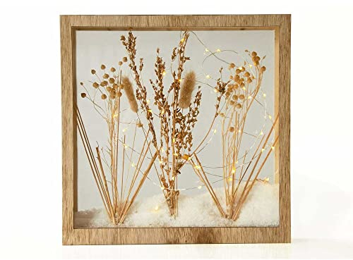 HAB&GUT -LF001- Trockenblumen im Bilderrahmen mit LED-Beleuchtung Dekoration Strand Düne Vitrine mit getrockneten Blumen Deko Natur Boho warm Weiss